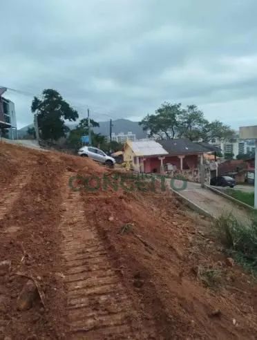 Lote/Terreno à Venda, Itacorubi - Florianópolis - Foto 3