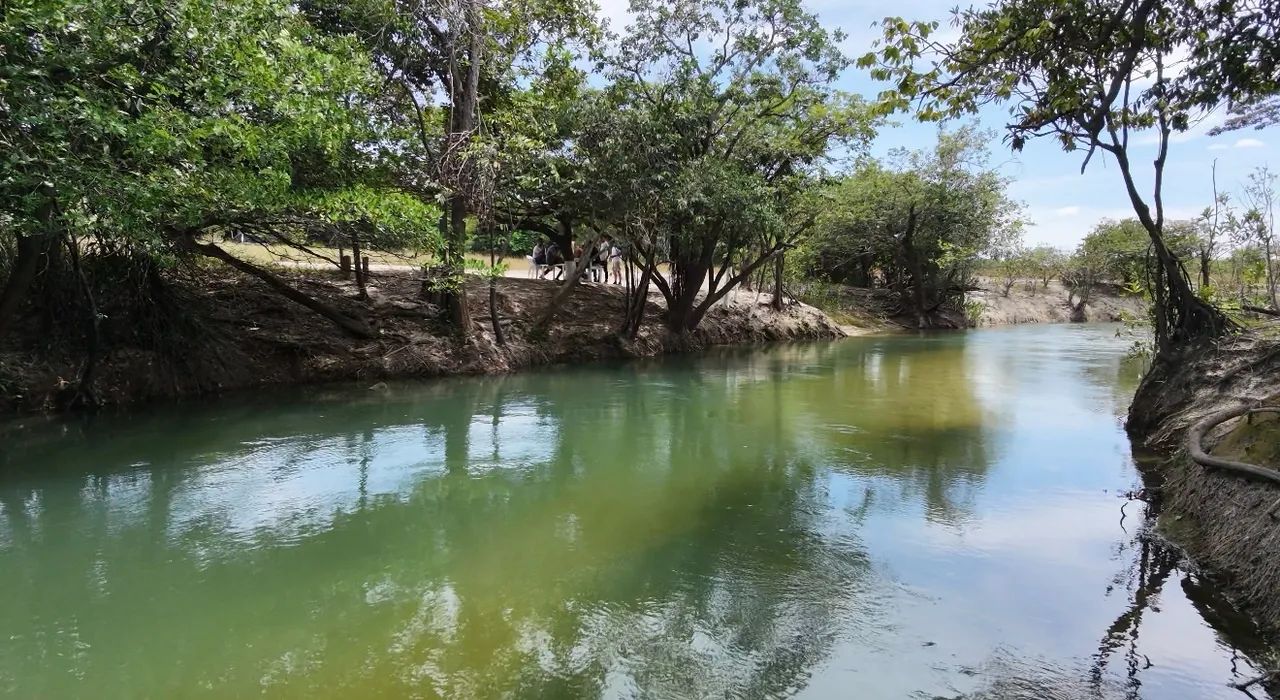 Vendo Área pra Chácara ou sítio  - Foto 2