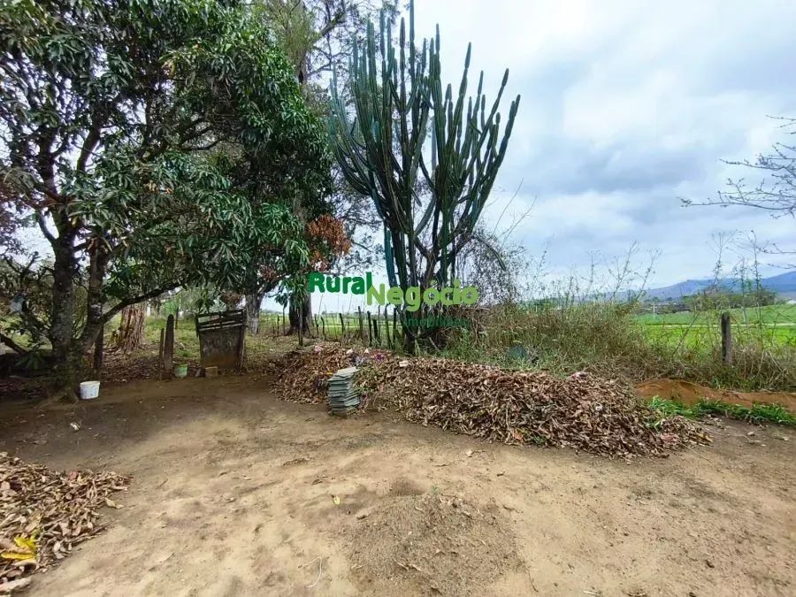 TERRENO PARA FORMAR CHÁCARA NO GOIABAL EM PINDAMONHANGABA-SP - Foto 2