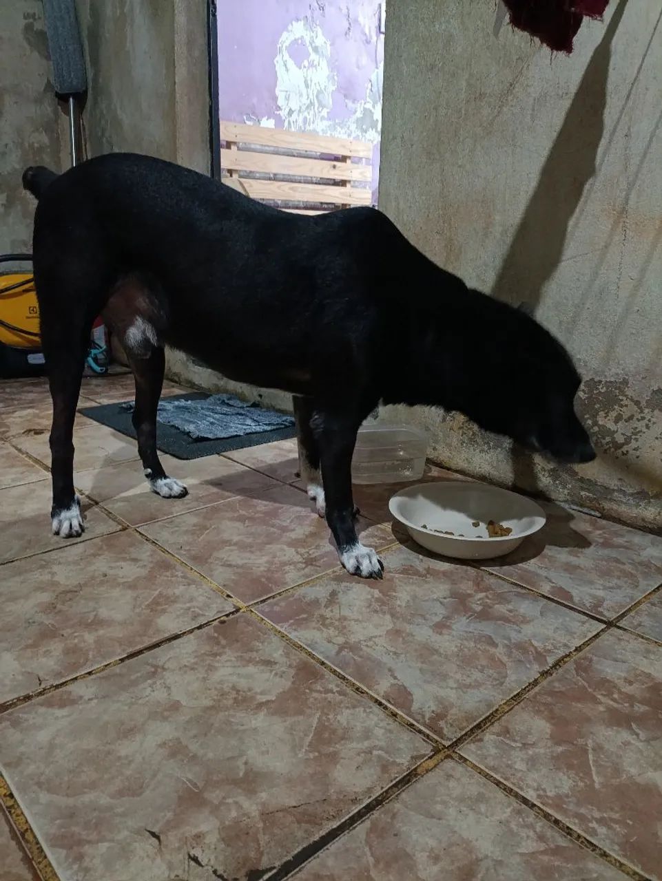 Doação  - Foto 3