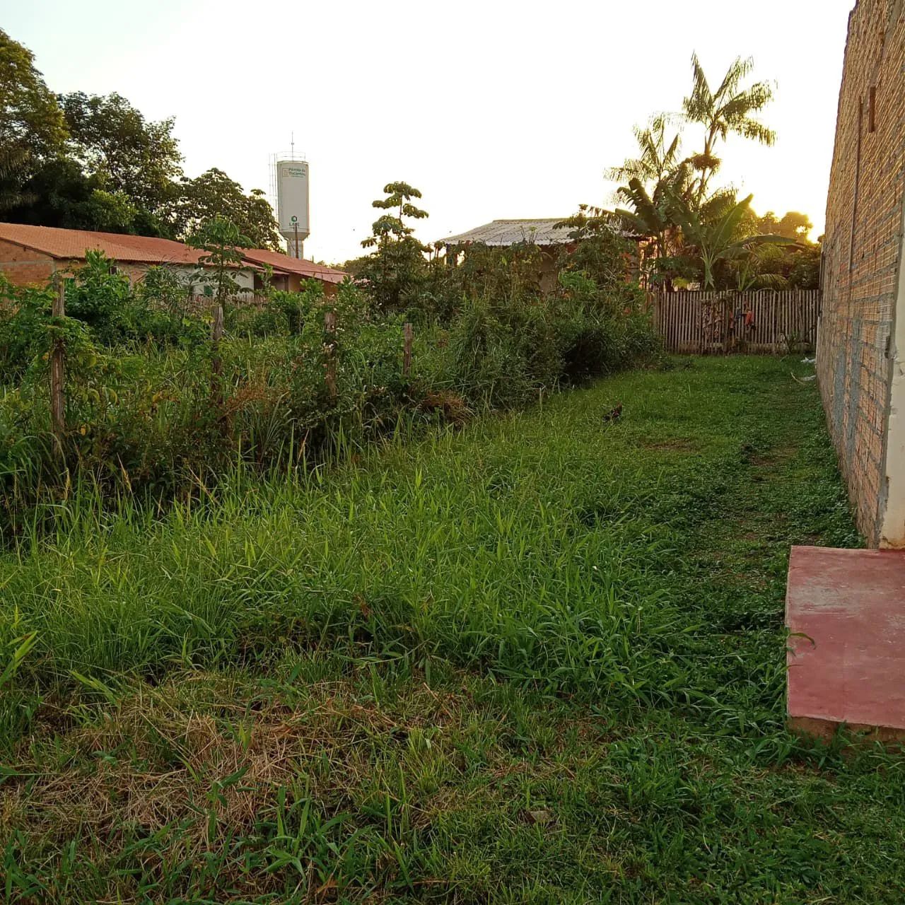Terreno em Abaetetuba  - Foto 3