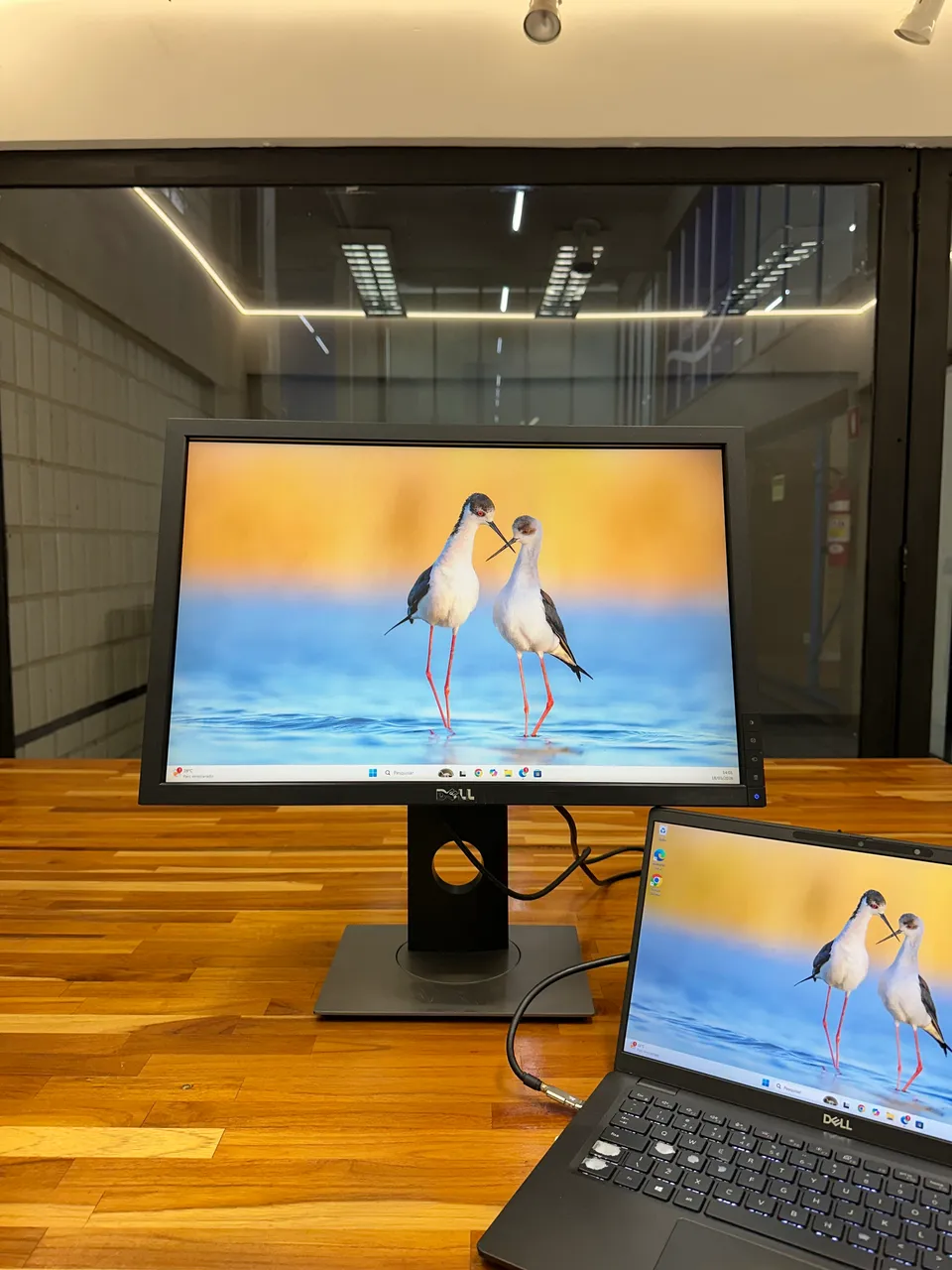 Monitor Dell 24