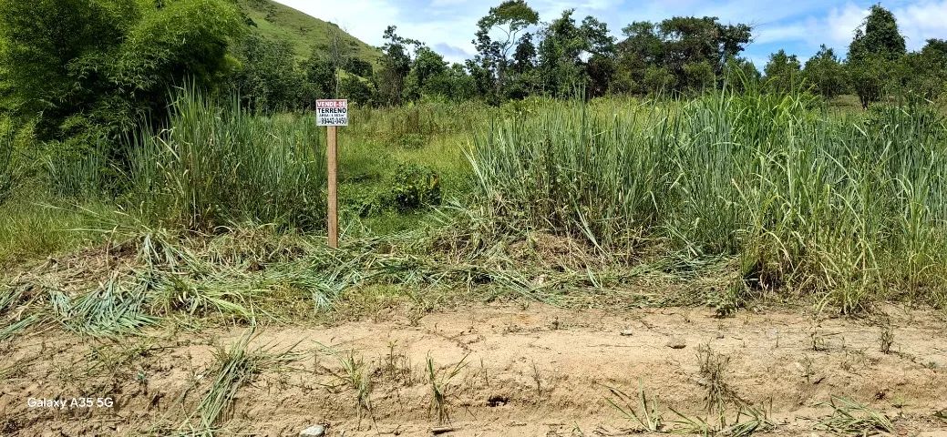 Terreno em Cerro Azul na beira do Rio Ribeira - Terrenos, sítios e ...