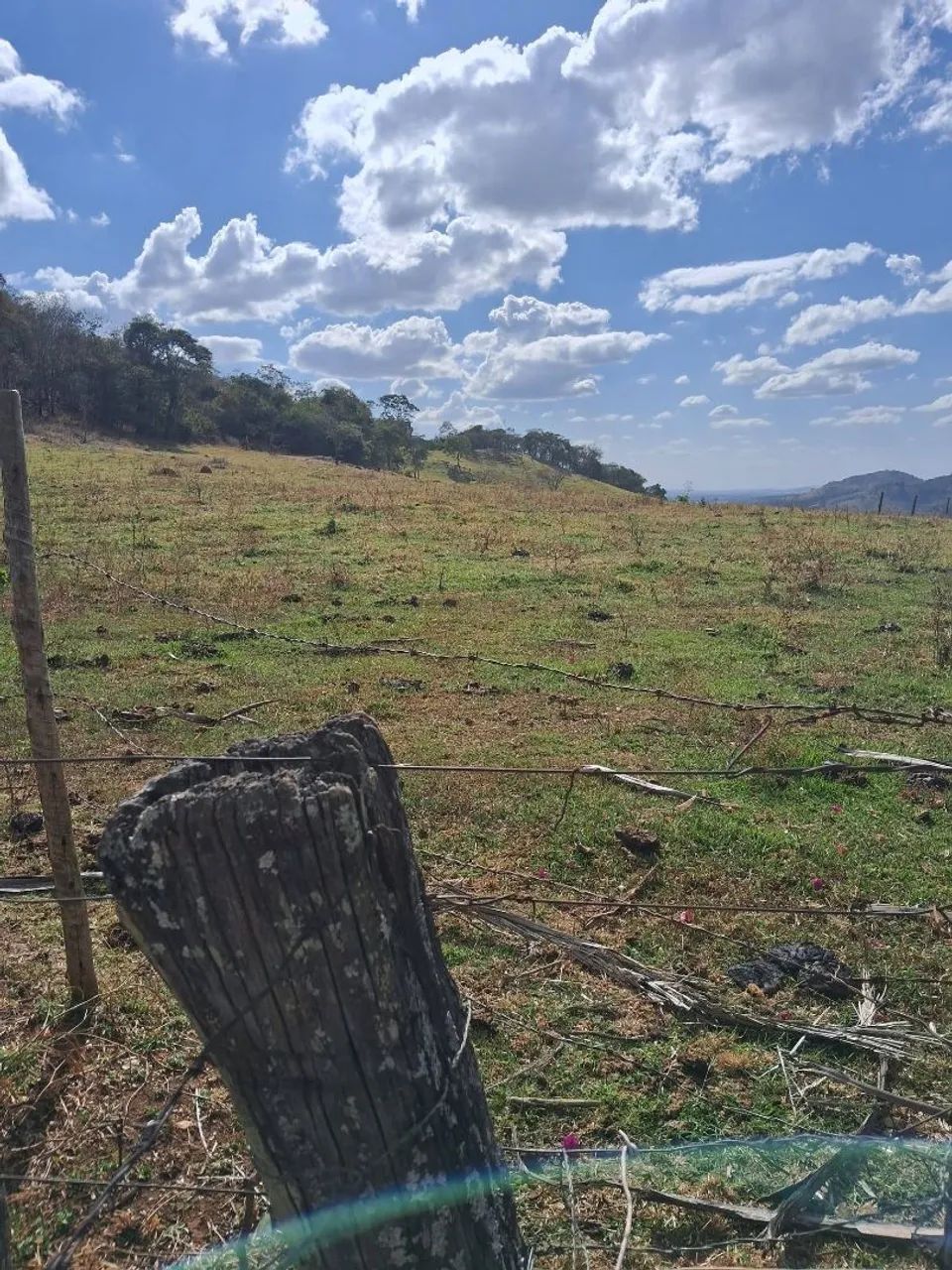 Sítio à Venda. - Foto 5
