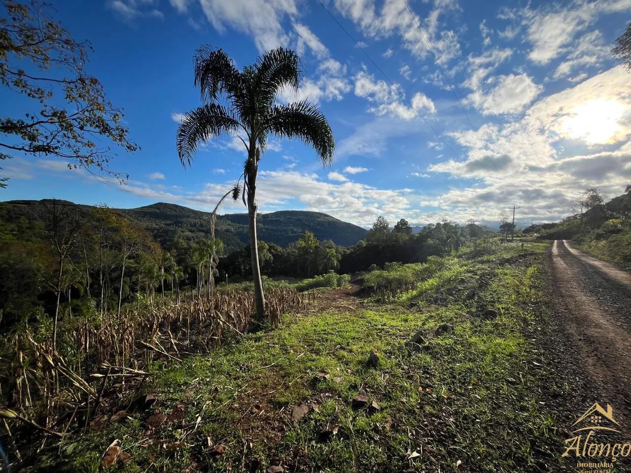 ÁREAS DE TERRA NO STILLE ECK EM NOVA PETRÓPOLIS RS REF: 1795