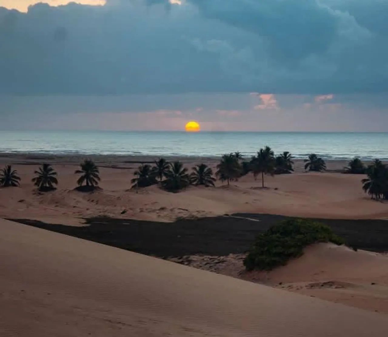 Foto - Aracaju - Bugio