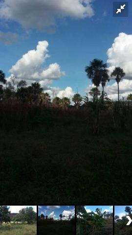 Fazenda bruta em Bom Jesus - PI - Foto 4