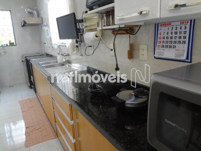 Casa à venda com 3 dormitórios em São salvador, Belo horizonte cod:728451 - Foto 12