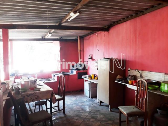 Casa à venda com 3 dormitórios em Serrano, Belo horizonte cod:704439