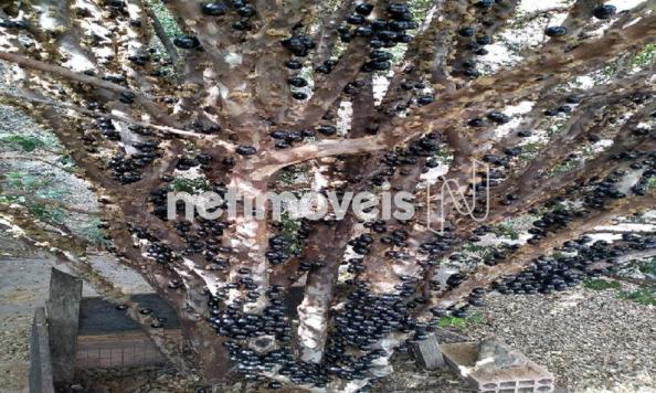 Casa à venda com 3 dormitórios em Jardim filadélfia, Belo horizonte cod:718950 - Foto 3