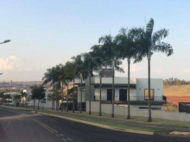 Terreno a venda no alphaville. bairro alphaville ribeirão preto. - Foto 10