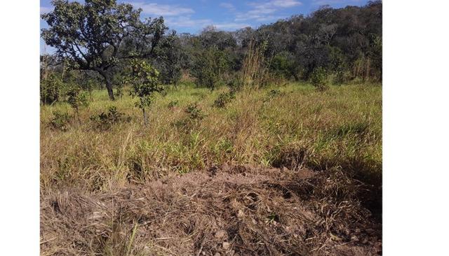 650 Alqueires, Oportunidade, Pecuária Santo Antônio do Leverger-MT - Foto 4