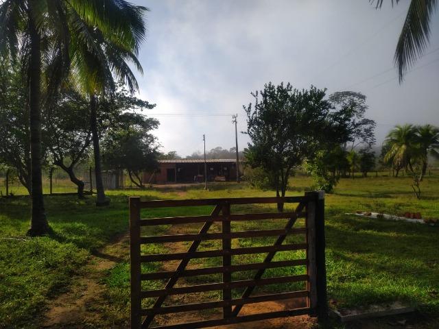 Chácara de Recreio e Pesqueiro Distr da Guia - Casa Sede e Casa de Caseiro - Foto 18