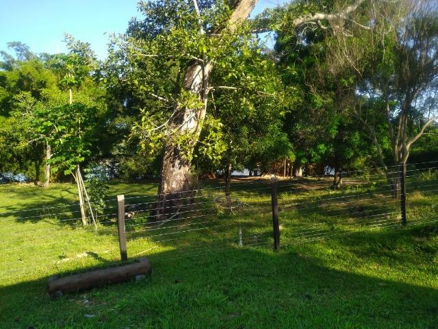 Chácara de Recreio e Pesqueiro Distr da Guia - Casa Sede e Casa de Caseiro - Foto 20