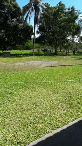 Chácara de Recreio e Pesqueiro Distr da Guia - Casa Sede e Casa de Caseiro - Foto 13