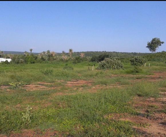 Fazenda Gameleira / 1562 hectares / documentação completa / próximo a Colinas - Foto 8