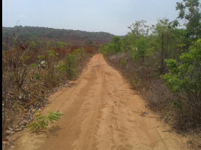 Fazenda Gameleira / 1562 hectares / documentação completa / próximo a Colinas - Foto 7