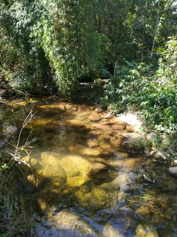 Sítio em Canoas ( pequeno sítio) - Foto 13