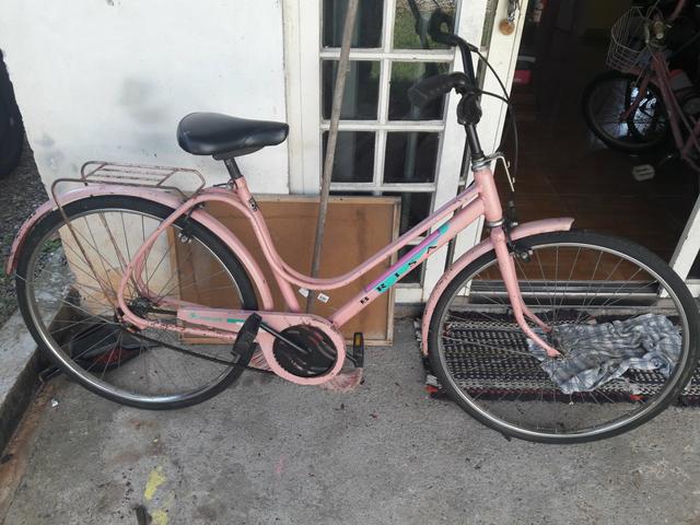 Bicicleta Monark brisa