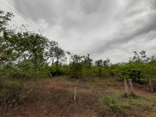 Terreno 10 hectares em Baldim - Foto 2