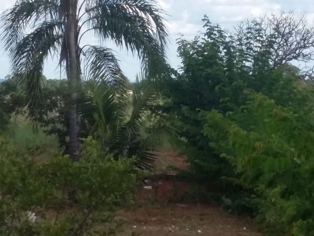 Casa Investimento - 5000m2 - Foto 3