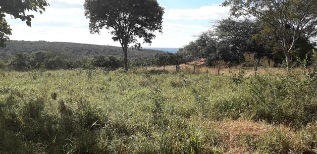 Pequeno sitio próximo de uruana de minas