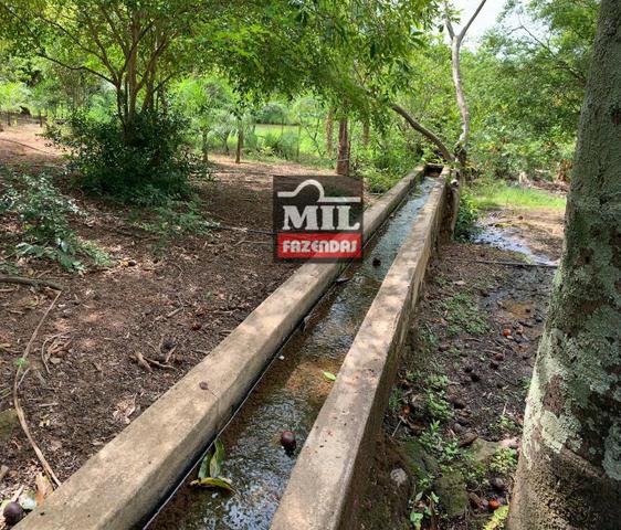Vende ou troca por terra maior Chácara 5 Alqueires São Miguel do Passa Quatro-GO - Foto 20