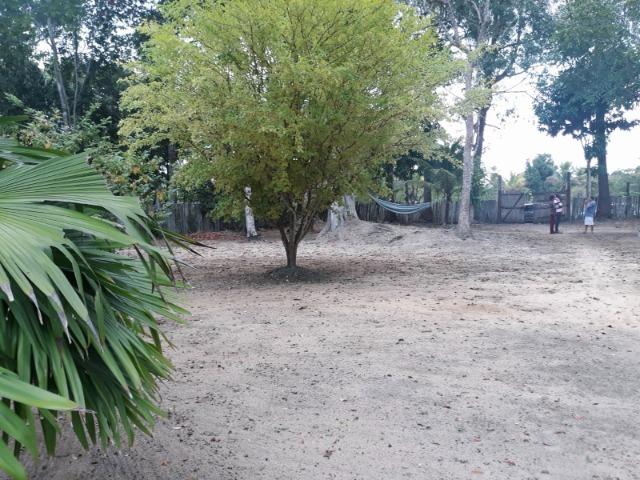Exelente Oportunidade - Foto 3