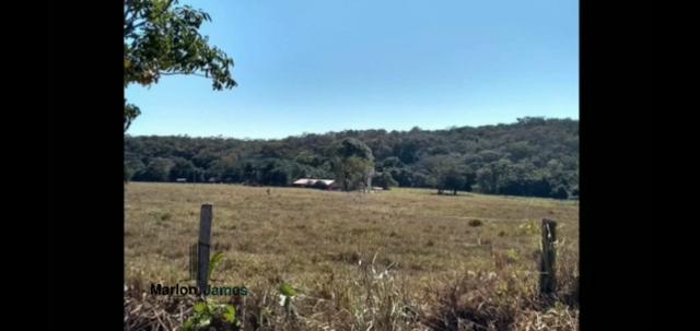Fazenda em Morrinhos-Go - Foto 13