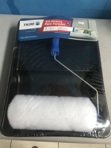 Kit de pintura tigre