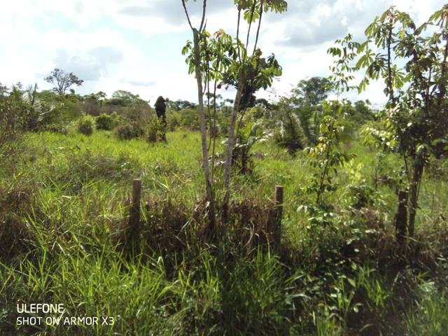 Fazenda a preço de ocasião - Foto 16