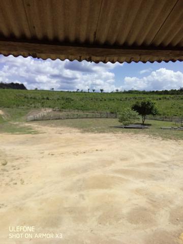 Fazenda a preço de ocasião - Foto 18
