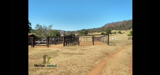 Fazenda em Morrinhos-Go - Foto 6