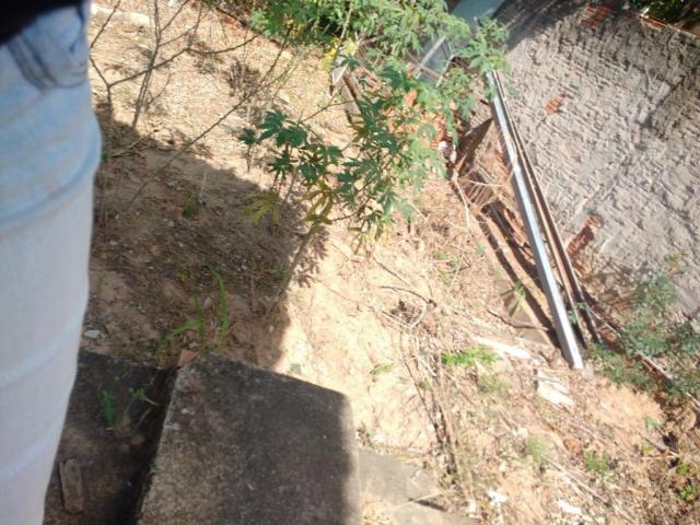 Terreno para alugar com 0 dormitórios em Jardim novo campos elíseos, Campinas cod:TE004486 - Foto 11