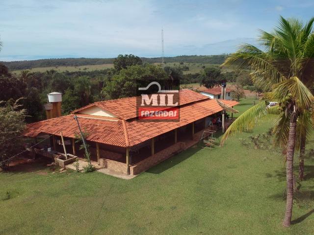 Vende ou troca por terra maior Chácara 5 Alqueires São Miguel do Passa Quatro-GO - Foto 15