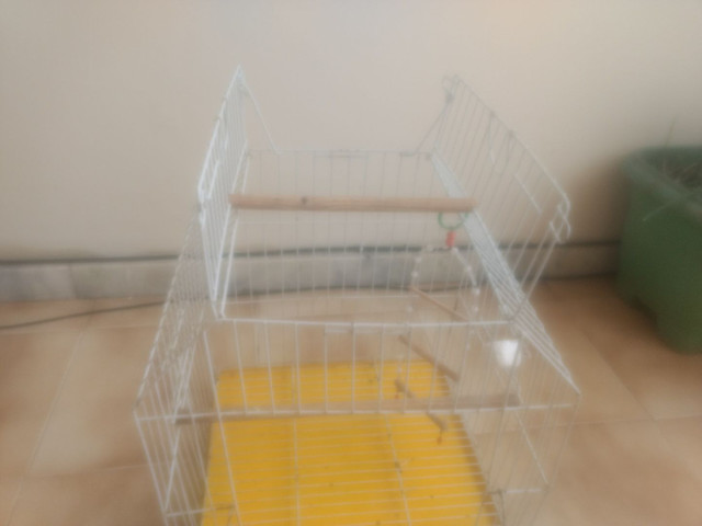 Gaiola de calopsita - Foto 3