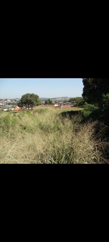 Terreno Jataizinho norte do PR  - Foto 5