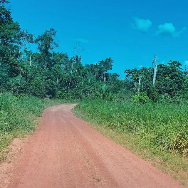 Fazenda em Rorainopolís RR 2900 hectares