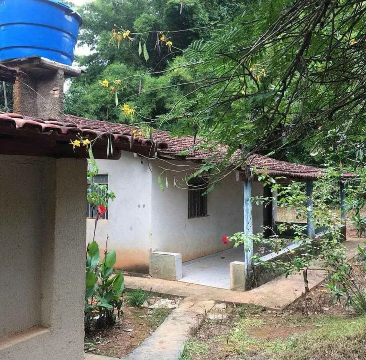 Chacara em santa barbara go - Foto 5