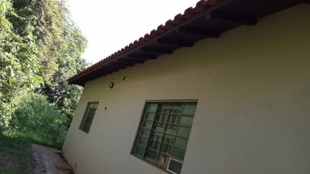 Sítio de 1 alqueire e uma quarta - Foto 4