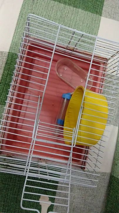 Gaiola de Hamister - Foto 3