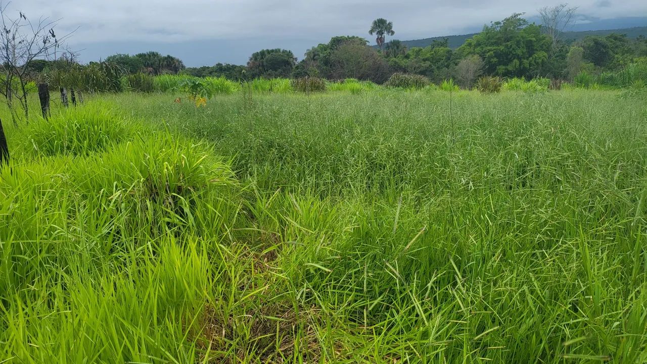 Ex chácara em planaltina df - Foto 7