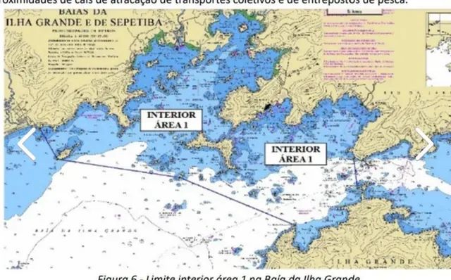 Arrais Amador Lancha e Motonalta Jetski - Foto 8