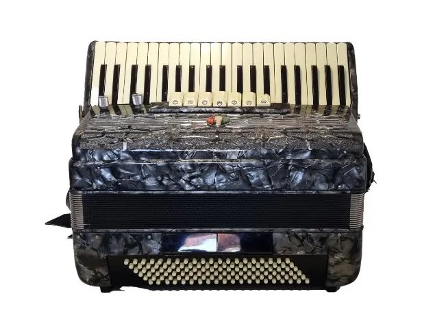 Sanfona Acordeon 120 baixos