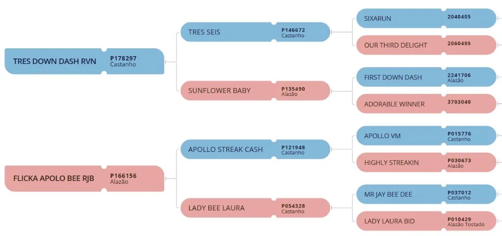 POTRA PO REGISTRADA - Foto 2