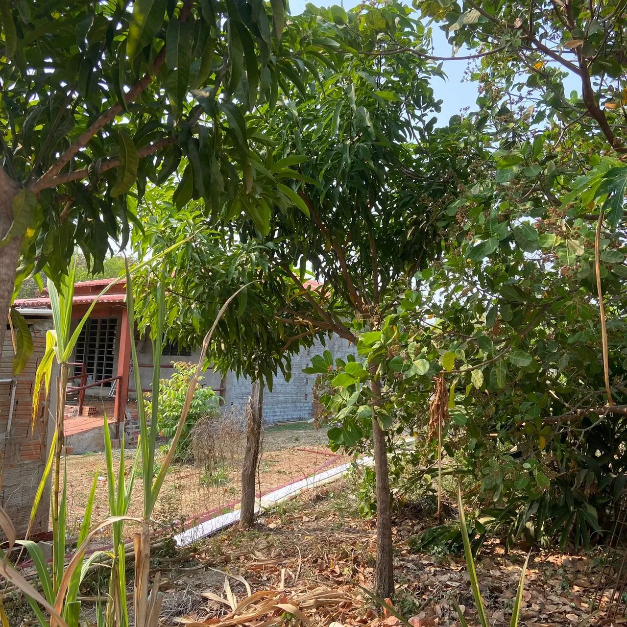 Condomínio de Chácaras dos amigos/Bairro Nova Esperança - Cuiabá - MT - Foto 2