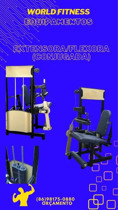 ACADEMIA EM GERAL