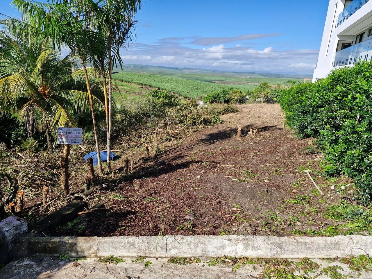 Foto - Carpina - Santa Terezinha