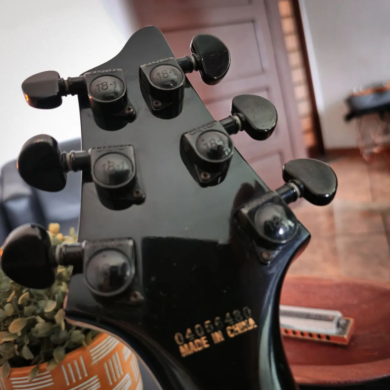 Washburn  - Foto 5