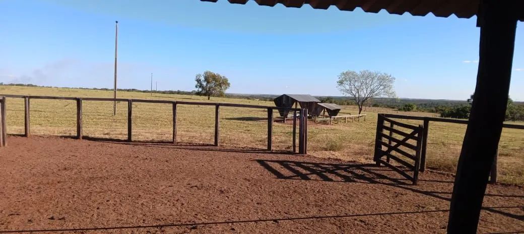 Fazenda  554 hectare.. estuda pega imóvel . - Foto 2